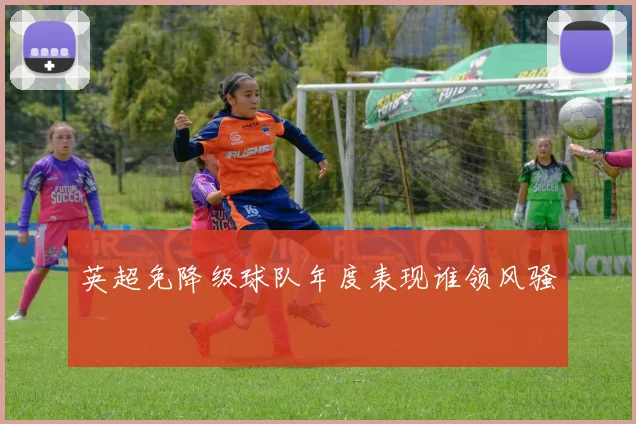 英超免降级球队年度表现谁领风骚